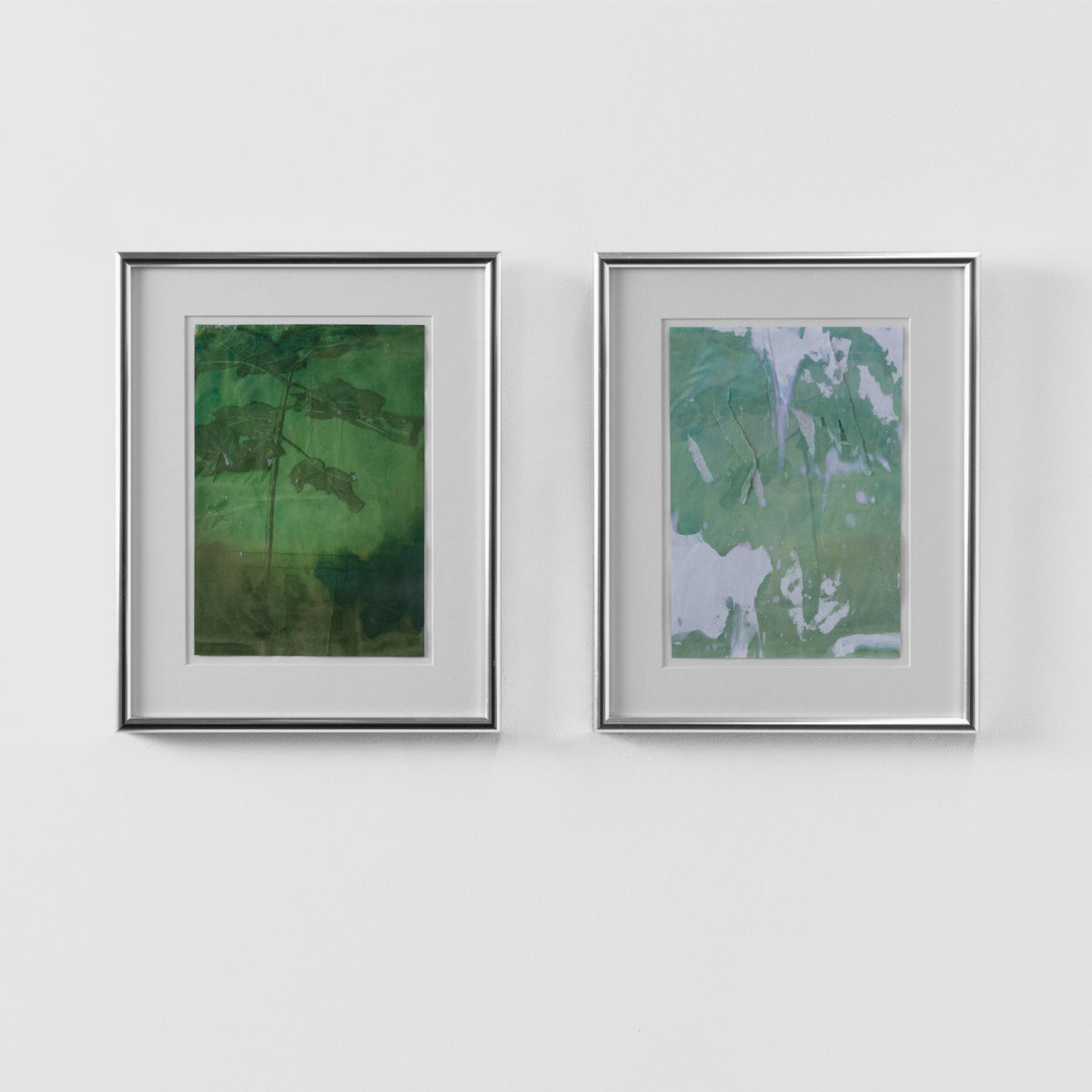 Untitled (Plant, Diptych)